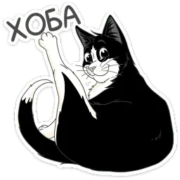 Феликс Telegram sticker pack
