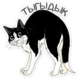 Феликс sticker 2