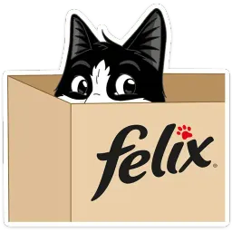 Феликс sticker 12