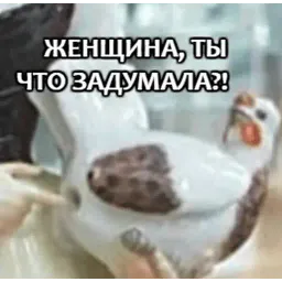 Философия Иопта @stickerus sticker 12