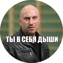fizruk sticker 2