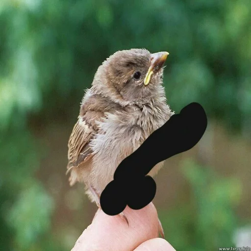 Theflockisintransit sticker 5