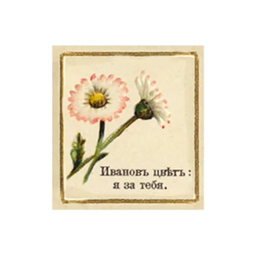 FlowerLanguageVintage sticker 2