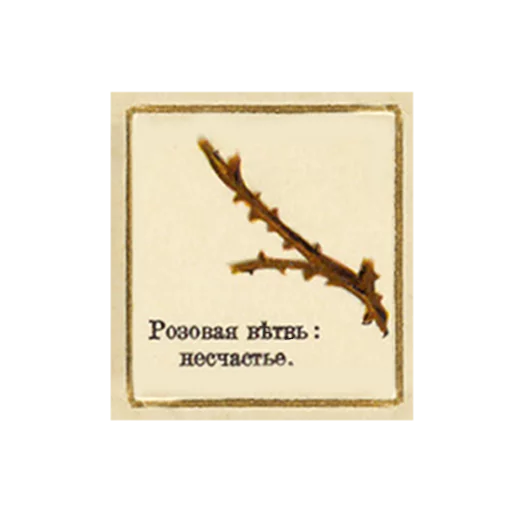 FlowerLanguageVintage sticker 11