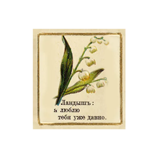 FlowerLanguageVintage sticker 12