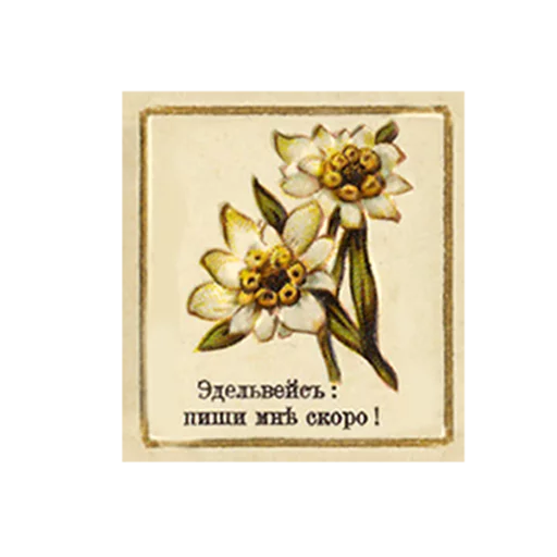 FlowerLanguageVintage sticker 4