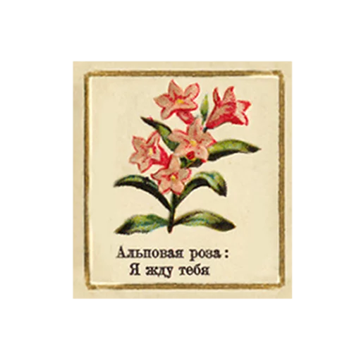 FlowerLanguageVintage sticker 5