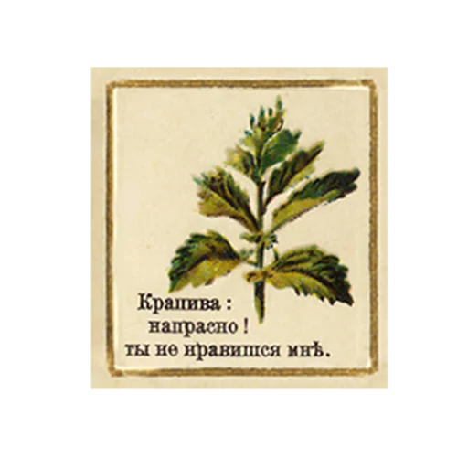 FlowerLanguageVintage sticker 6