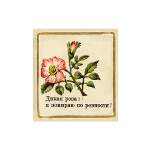 FlowerLanguageVintage sticker 9