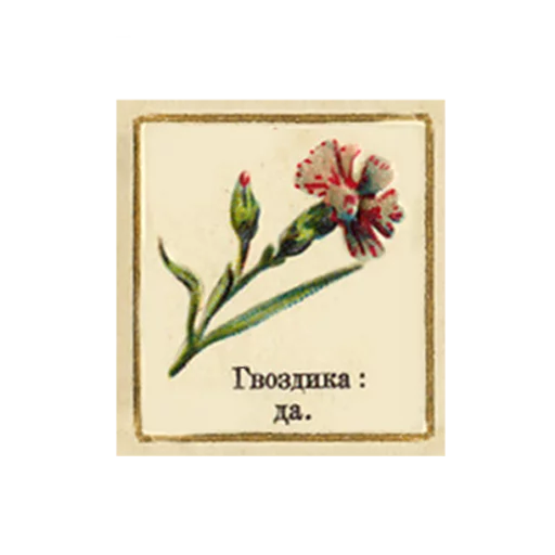 FlowerLanguageVintage sticker 10