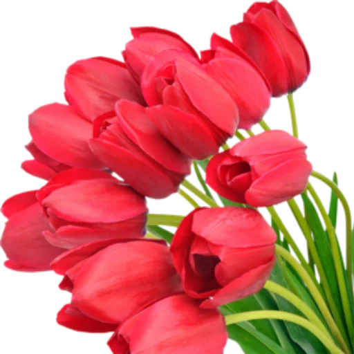 Flowersst sticker 9
