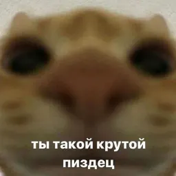 Пушистики sticker 2
