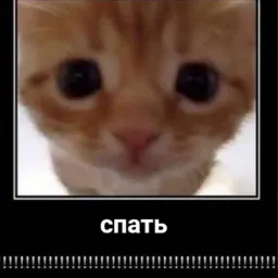 Пушистики sticker 12