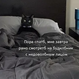 Пушистики sticker 4