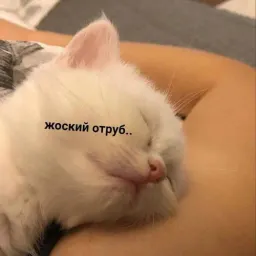 Пушистики sticker 6