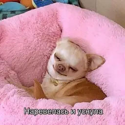 Пушистики sticker 8