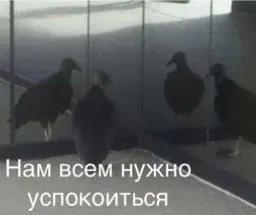 Пушистые мемы sticker 2
