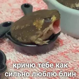 Пушистые мемы sticker 11