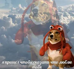 Пушистые мемы sticker 12