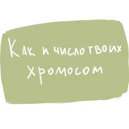 фразы sticker 8
