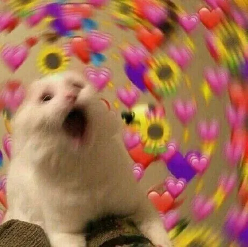 Catto sticker 35