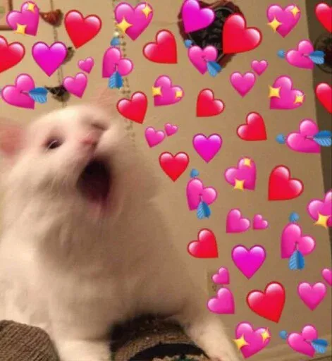 Catto sticker 36