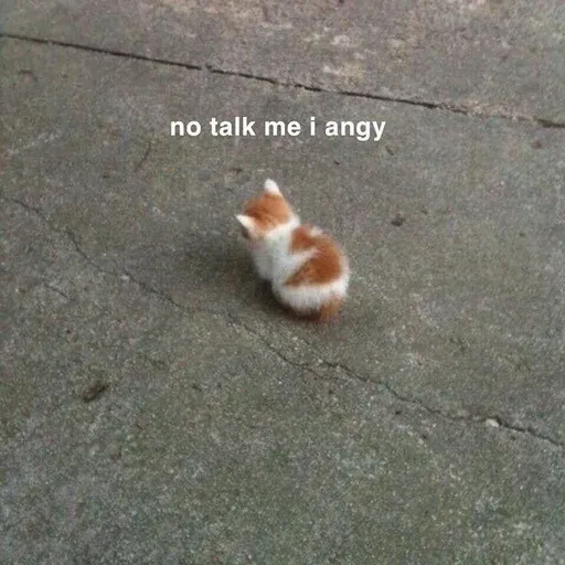 Catto sticker 44