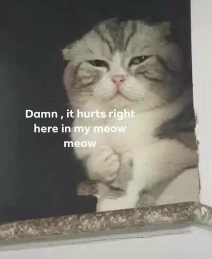 Catto sticker 46