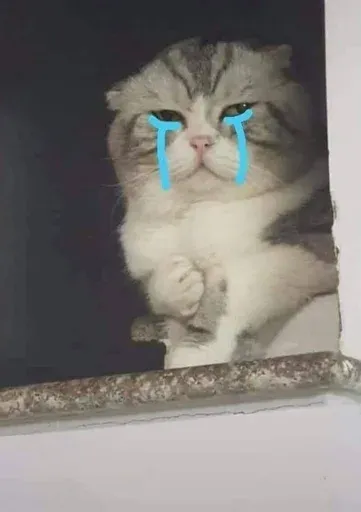 Catto sticker 47