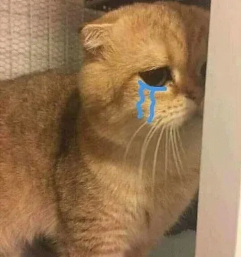 Catto sticker 48