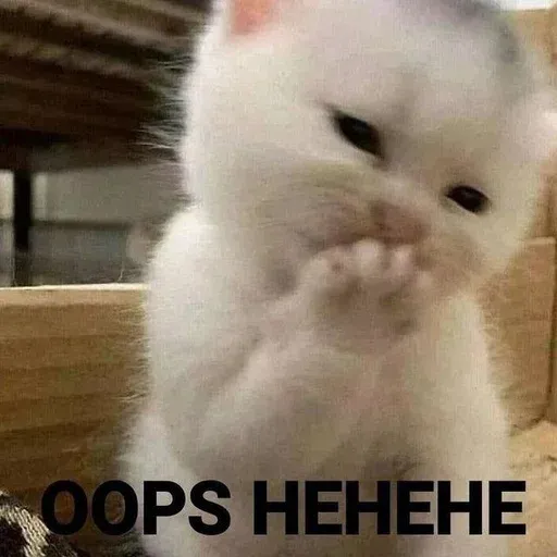 Catto sticker 53