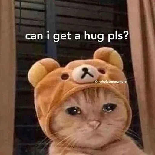 Catto sticker 79