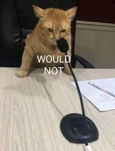 Catto sticker 92