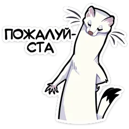 Горностай Гера ВКонтакте, Марта Флёрова sticker 5