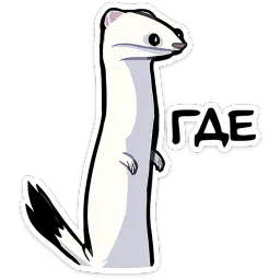 Горностай Гера ВКонтакте, Марта Флёрова sticker 7
