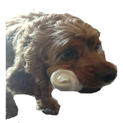 Coughmen Lean sticker 5
