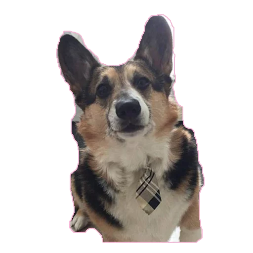 Coughmen Lean sticker 6