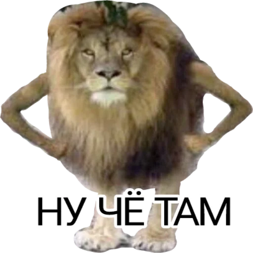 GreddyDNU sticker 2