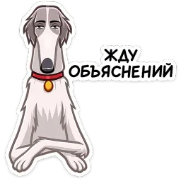 Грэй Валерий Матюхин sticker 5