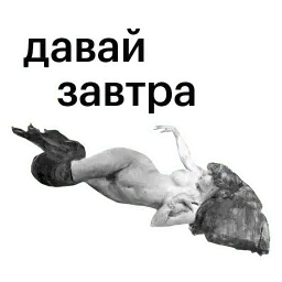 Грифон Арсений sticker 4