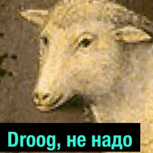 Grimest sticker 4