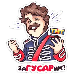 Гусар ТНТ sticker 2
