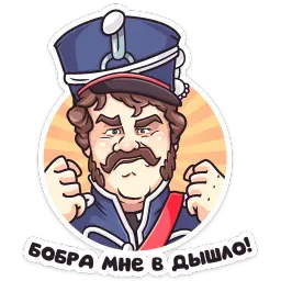 Гусар ТНТ sticker 5