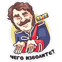 Гусар ТНТ sticker 9