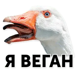 Гуси-хуюси sticker 11