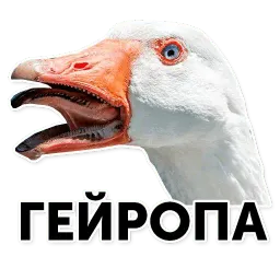 Гуси-хуюси sticker 12