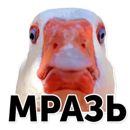 Гуси-хуюси sticker 3