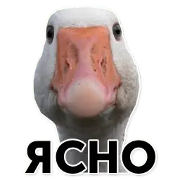 Гуси-хуюси sticker 4