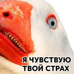 Гуси-хуюси sticker 5