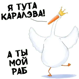 Стикеры от канала @gysixa sticker 11